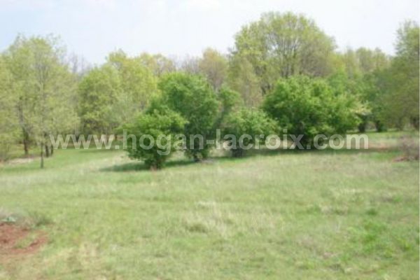 Immobilier Dordogne Vente Ref : 3796