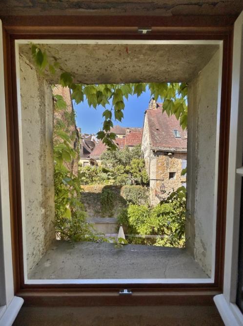 House in Sarlat-la-Caneda - view 1