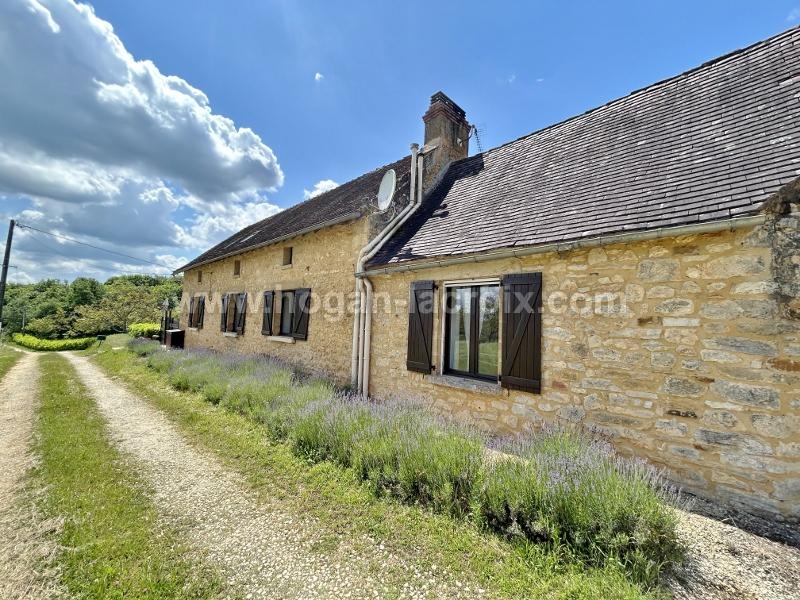 Cliquez pour agrandir la photo