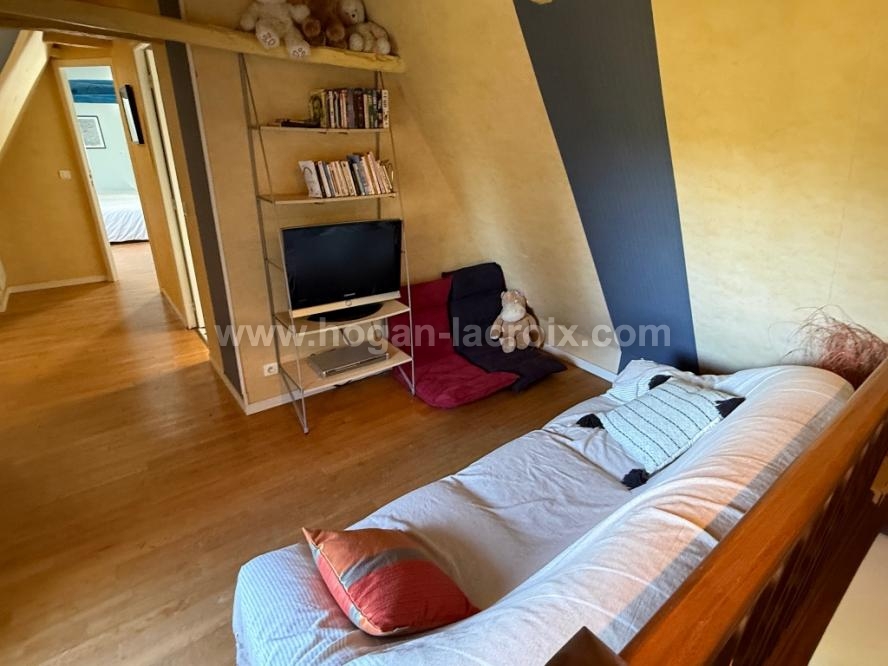 Cliquez pour agrandir la photo